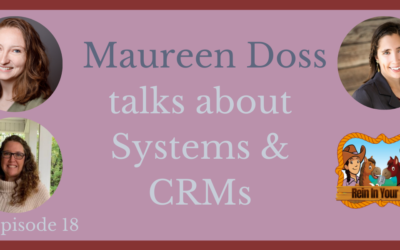Episode 18 – Maureen Doss talks about Systems and CRMs
